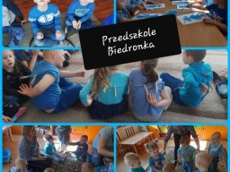 4_P-le_Biedronka